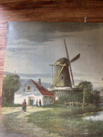 Holllands landschap