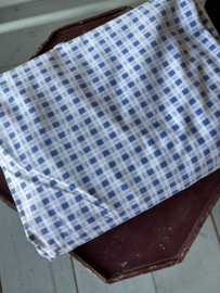 Blauw geruit dekbed