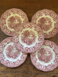 Engelse roze bordjes