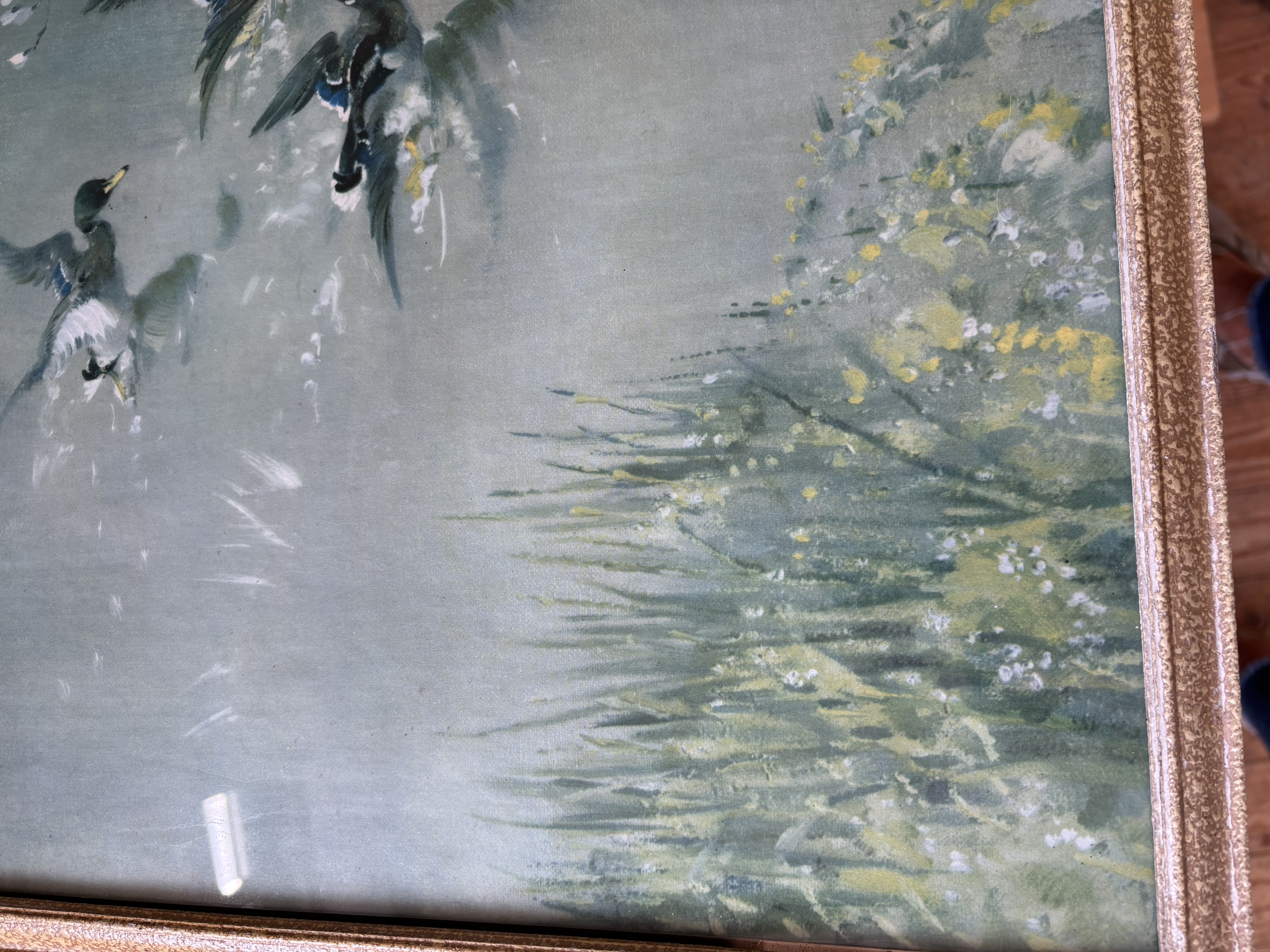 Vernon Ward Eenden schilderij
