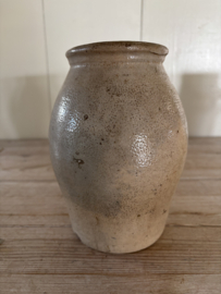 Bolle grespot