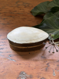 Parelmoer schelp bakje