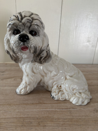 Honden spaarpot