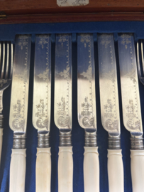 Cassette met 12 vorken en messen