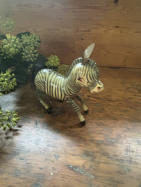 Blikken zebra