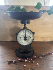 Salter’s family scale