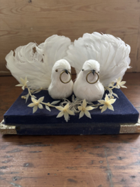 Twee duifjes taart topper