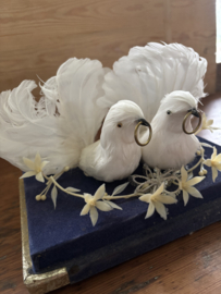 Twee duifjes taart topper
