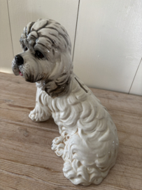 Honden spaarpot