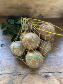 Net met 8 croquet ballen
