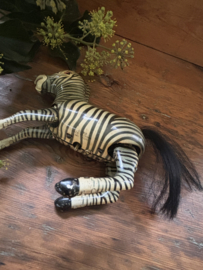 Blikken zebra