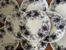 Bryonia borden zonder gouden randje