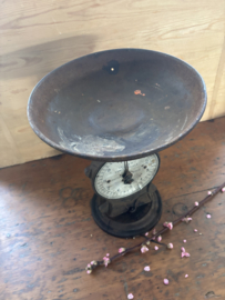 Salter’s family scale