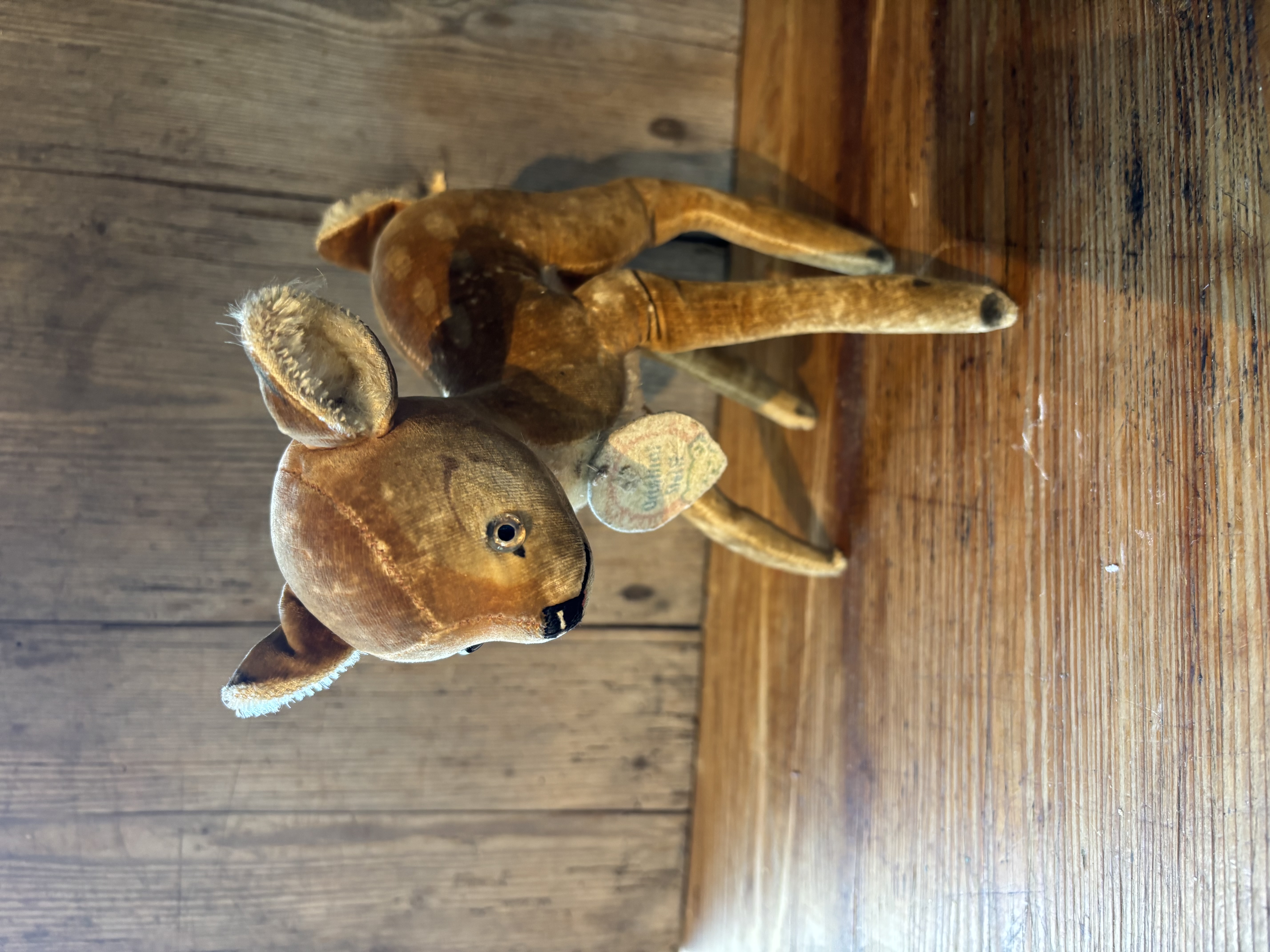 (Verkocht)Hertje Steiff  echte Bambi