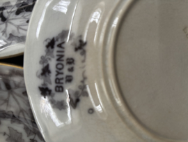 Bryonia borden zonder gouden randje