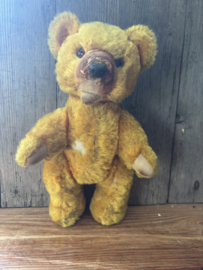 Oude teddy met vies neusje