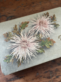 Droste bonbon verpakking