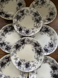 Bryonia borden met gouden randje