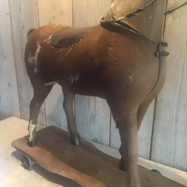 Groot paard op wielen