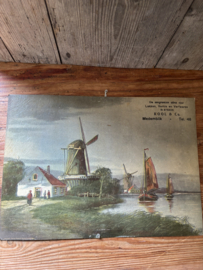 Holllands landschap