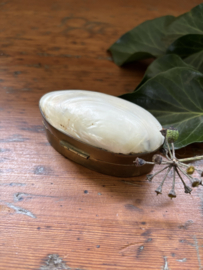 Parelmoer schelp bakje