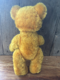 Oude teddy met vies neusje