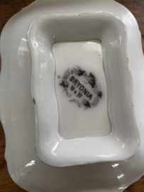 Bryonia prachtige serveerschaal