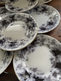 Bryonia borden met gouden randje