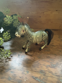 Blikken zebra