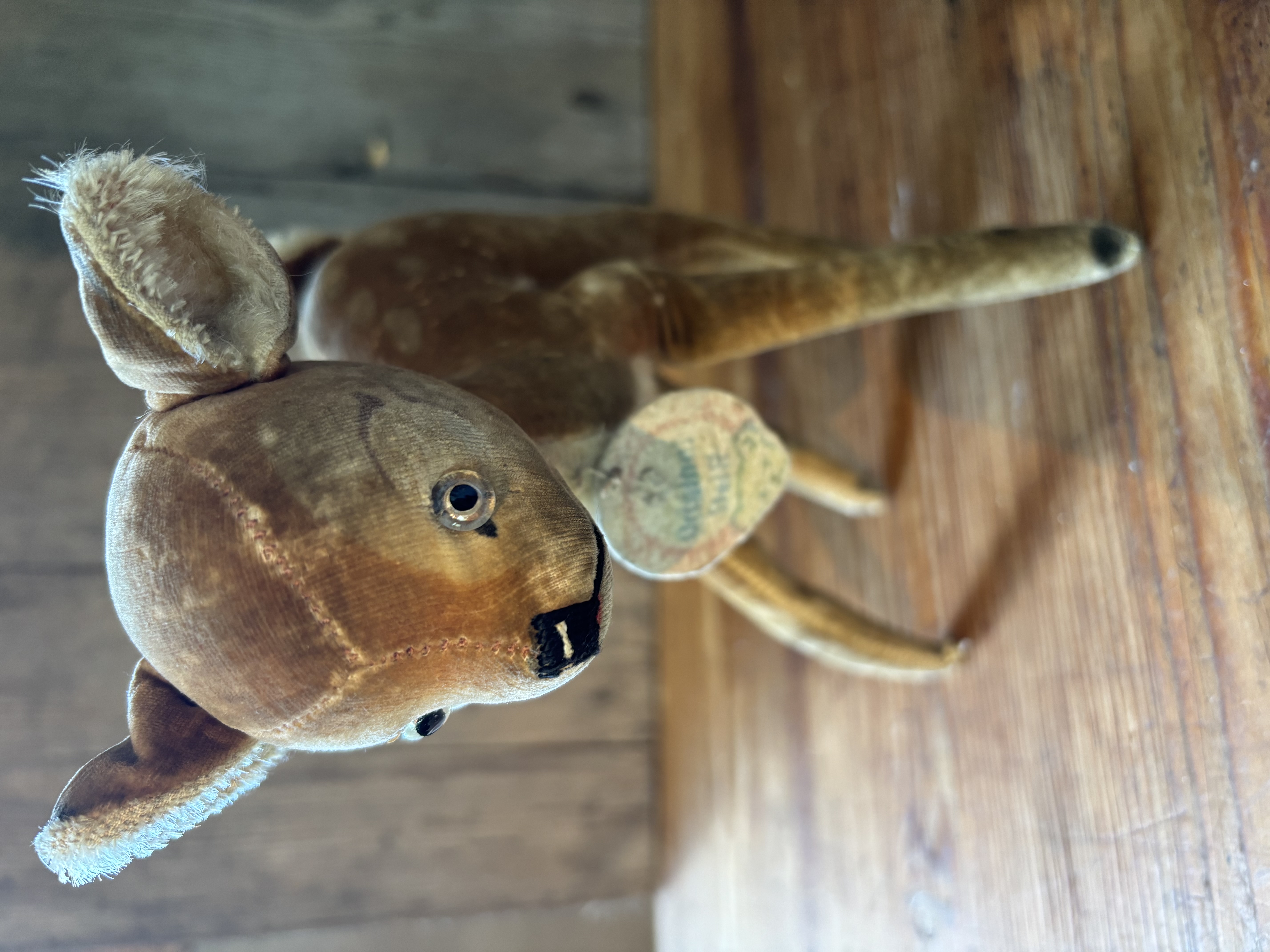 (Verkocht)Hertje Steiff  echte Bambi