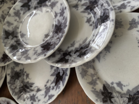 Bryonia borden zonder gouden randje