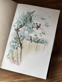 Poesie album 1891