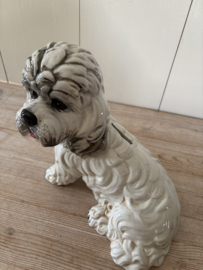 Honden spaarpot