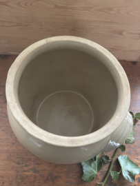 Zandkleurige grespot