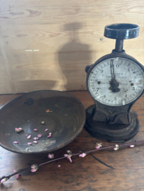 Salter’s family scale