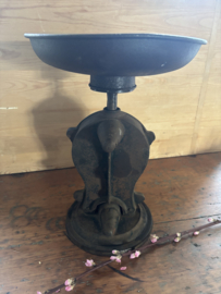 Salter’s family scale