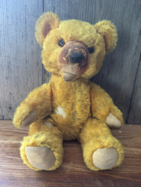 Oude teddy met vies neusje