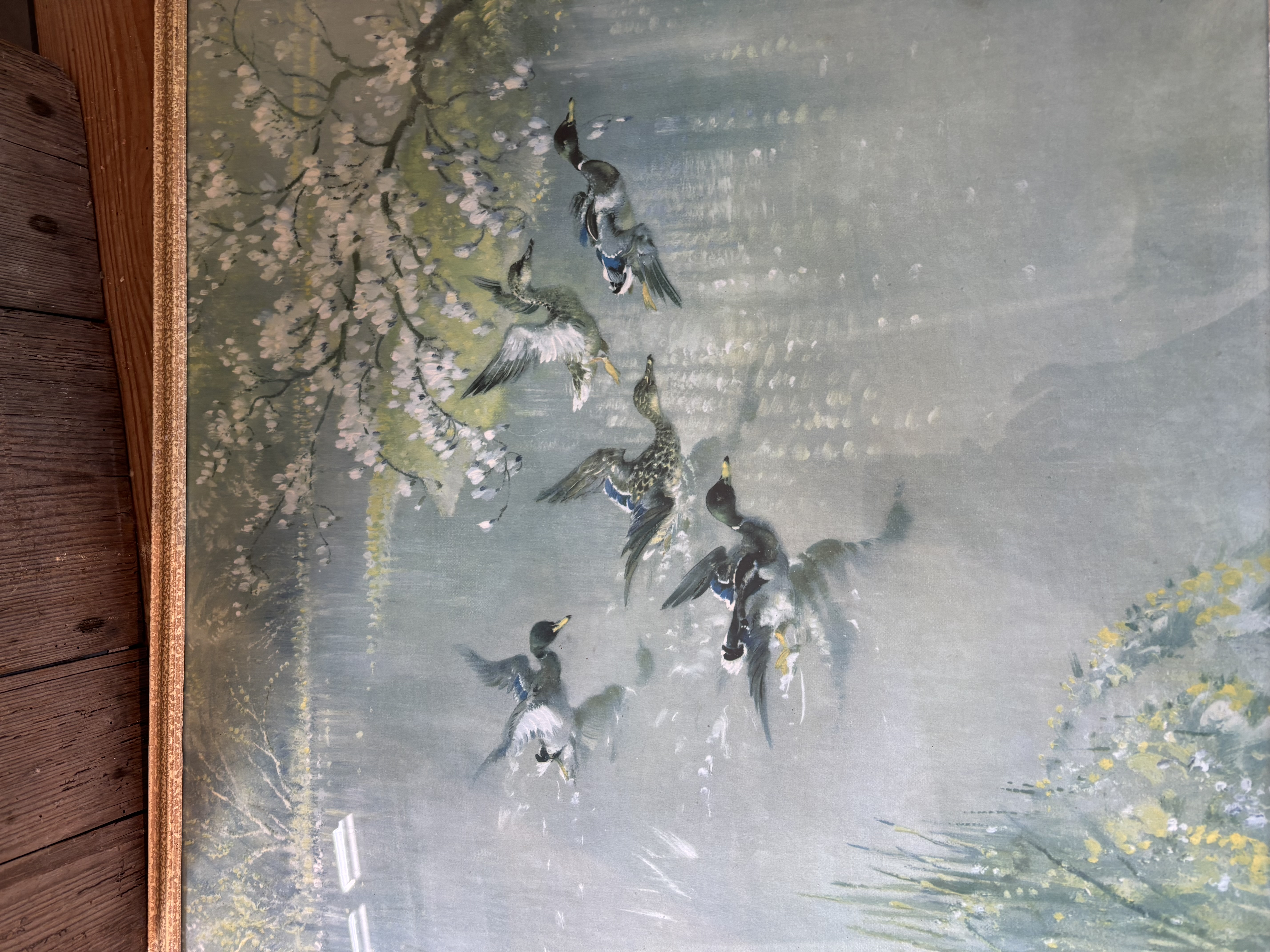 Vernon Ward Eenden schilderij