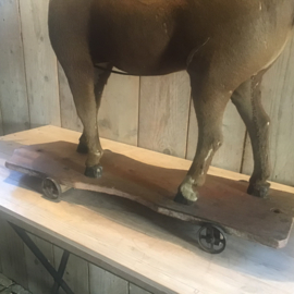 Groot paard op wielen