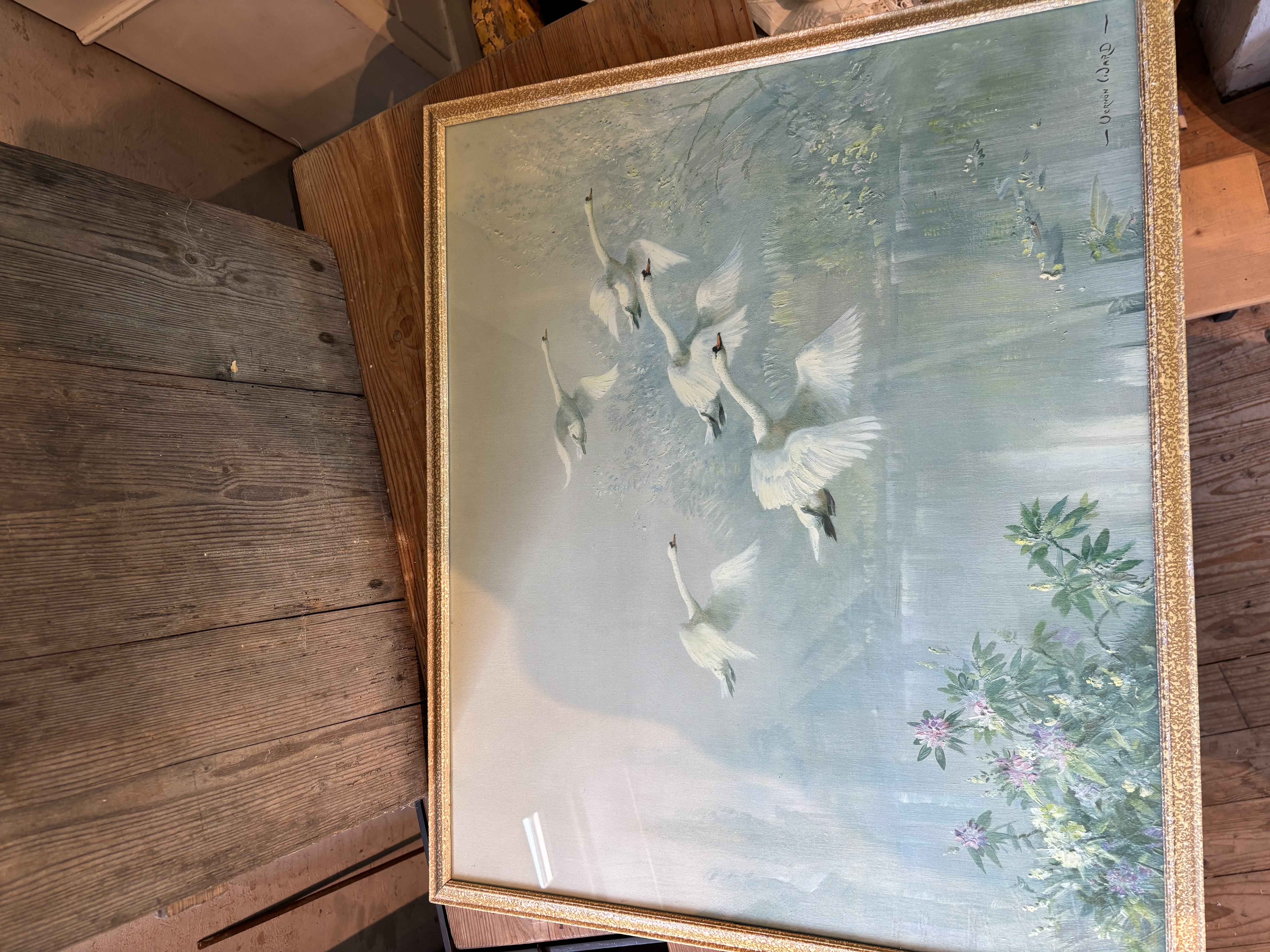 (Verkocht)Vernon Ward zwanen schilderij