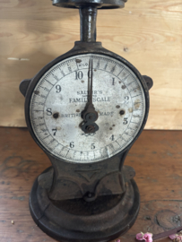 Salter’s family scale
