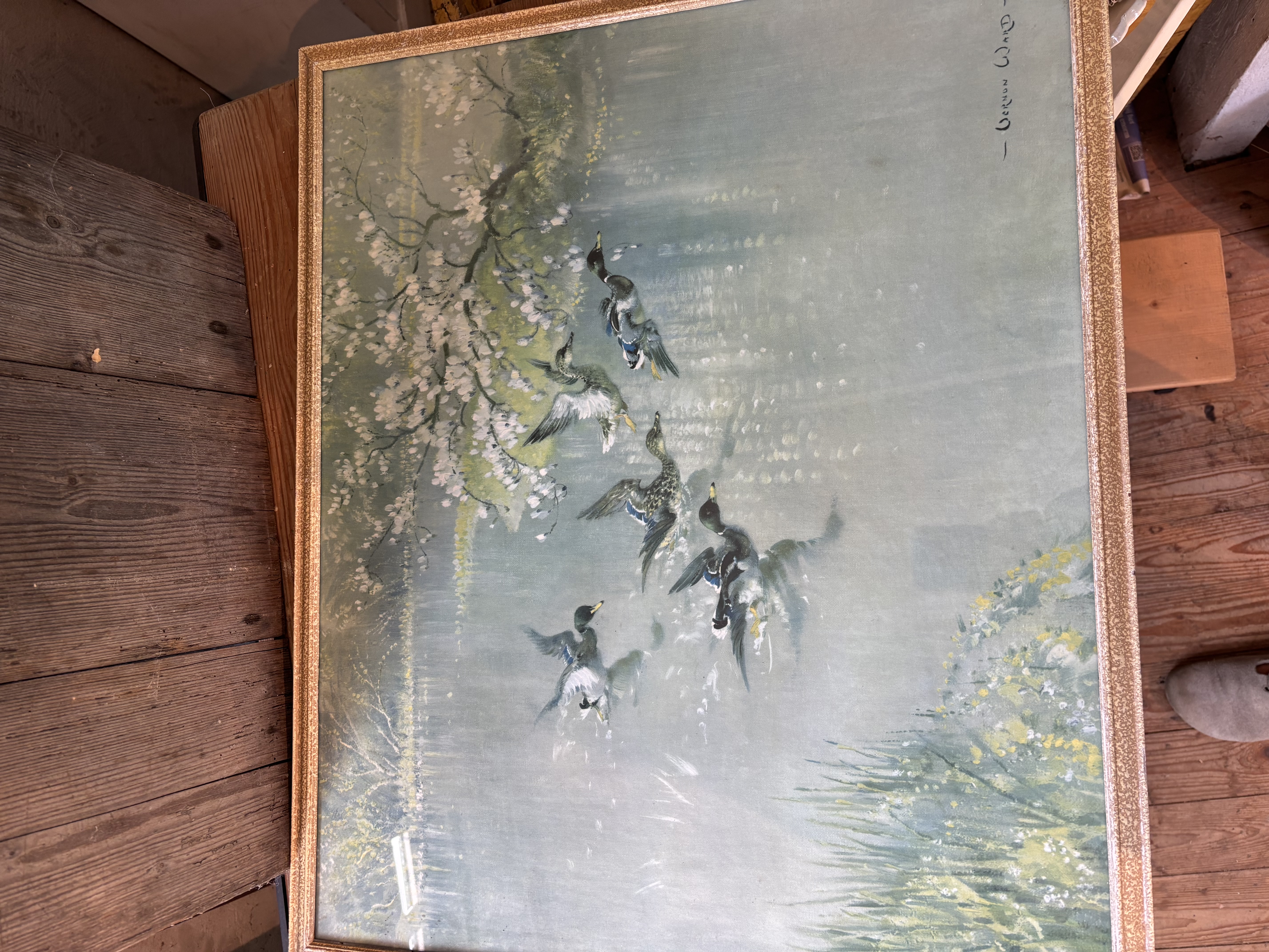 Vernon Ward Eenden schilderij