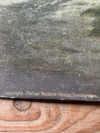 Holllands landschap