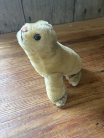 Baby zeehondje Steiff