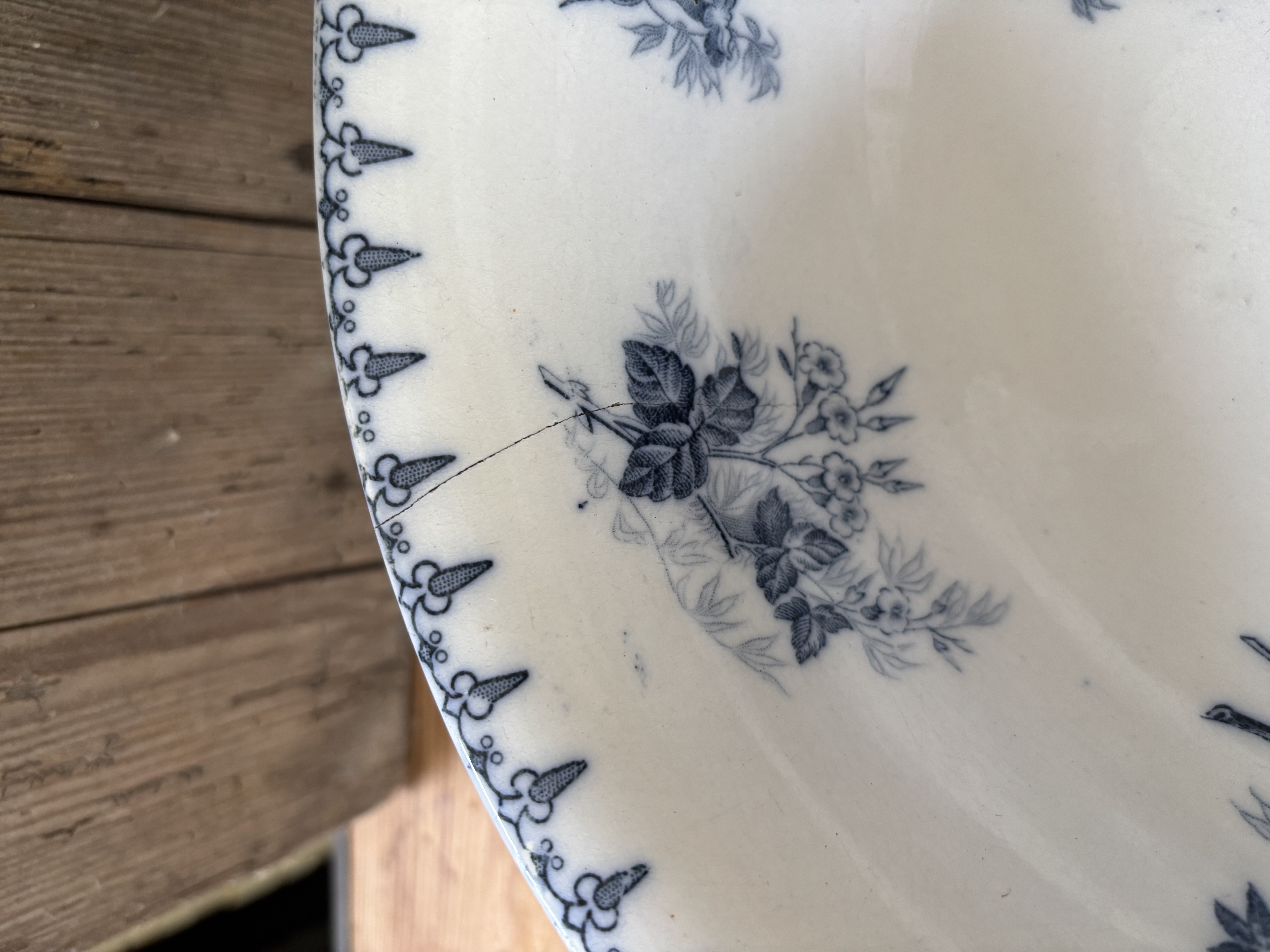 Prachtige blauwe bloemen schaal
