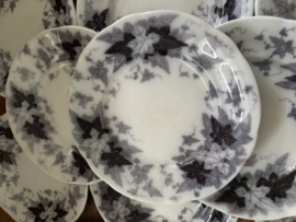 Bryonia borden zonder gouden randje