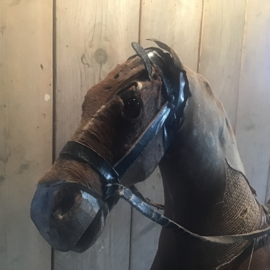 Groot paard op wielen