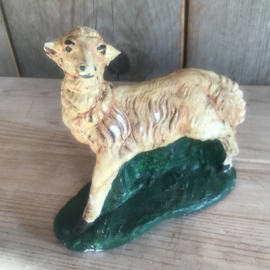 Gipsen schaap