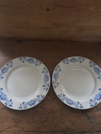 Grote borden blauwe bloem