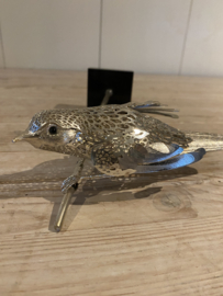 St Cristofle vogel op tak